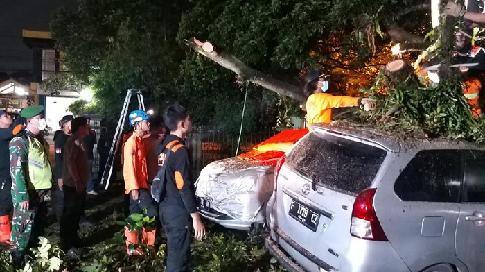 Pohon tumbang timpa mobil di Kota Bogor