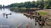 Kondisi ikan mabuk tersebut dimanfaatkan warga. Warga dengan mudah menangkap ikan yang sedang teler tersebut.