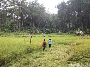 Trekking Jelajah Hutan sampai Menemukan Goa Misterius di Sentul