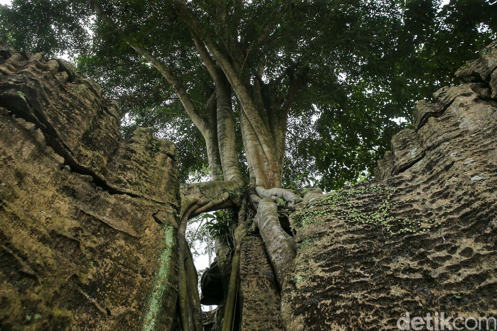 Trekking Hutan Hujan Sentul