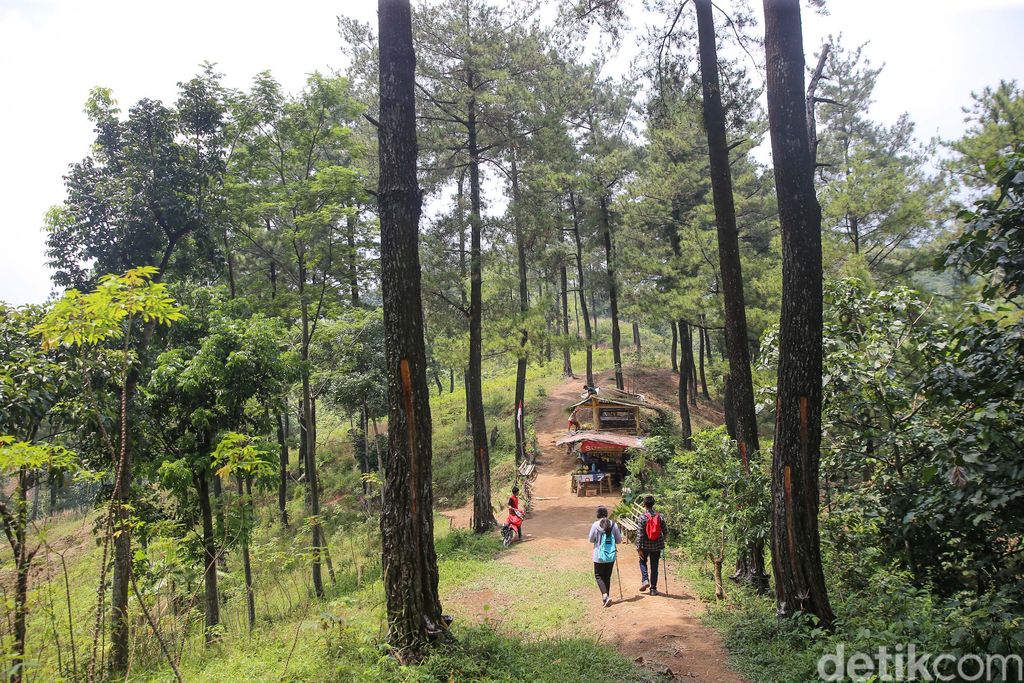 Trekking Hutan Hujan Sentul
