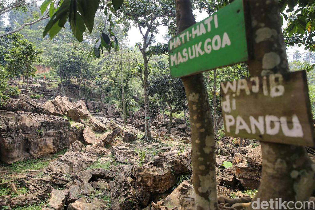 Trekking Hutan Hujan Sentul
