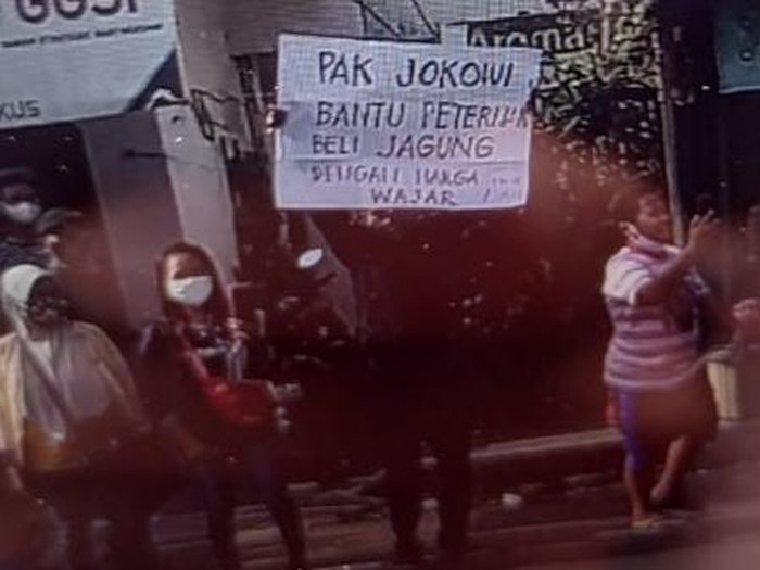 Seorang pria diamankan ketika mobil Presiden Jokowi bergeser ke Makam Bung Karno (MBK). Pria itu langsung digelandang dan dimasukkan mobil polisi.