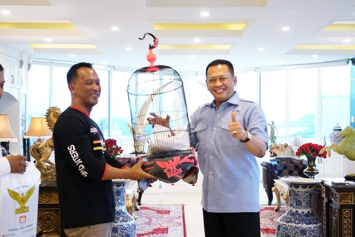 Ketua MPR RI Bambang Soesatyo mengatakan Indonesia merupakan negara keempat yang memiliki spesies burung terbesar di dunia mencapai sekitar 1.794 spesies. Namun akibat kerusakan hutan dan berbagai habitat asli, banyak di antara spesies burung tersebut yang terancam punah.