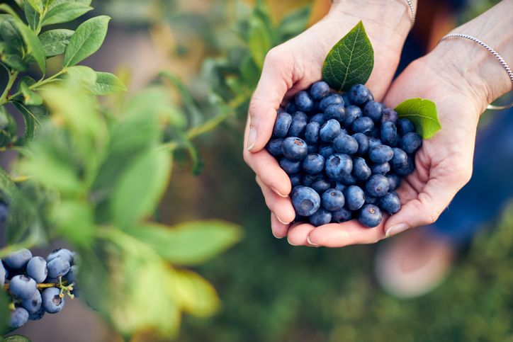 7 Buah Mengandung Vitamin C untuk Tingkatkan Imunitas