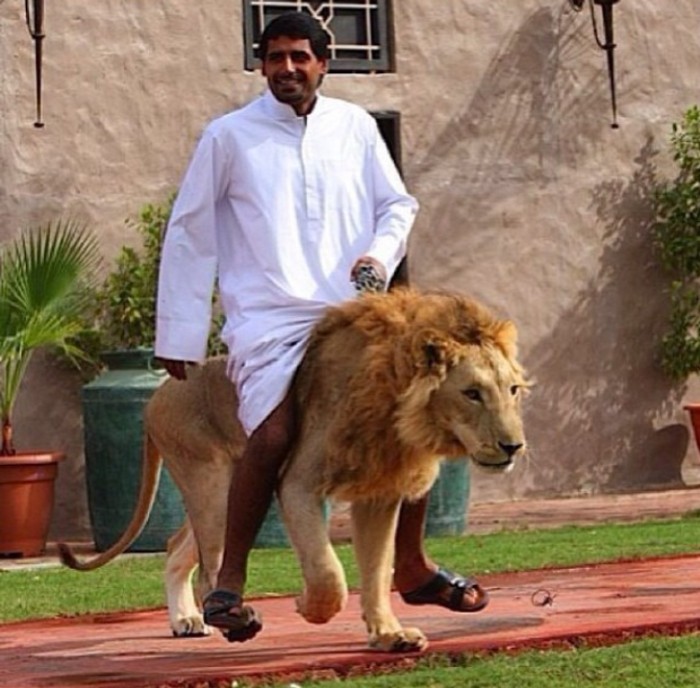 Dubai Hal-hal yang hanya ada di Dubai