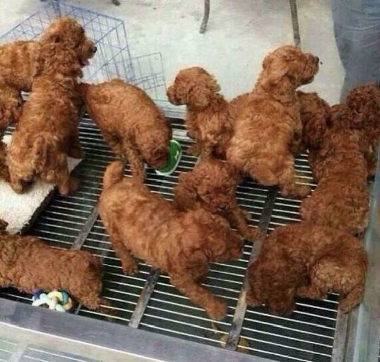 Foto yang Menipu Mata
