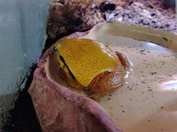 Berani Lihat Foto Ini Sekilas? Awas Mata Tertipu!