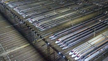 Ada yang mengiria ini adalah sekumpulan jarum? Coba dilihat lagi... Foto: dok Reddit via Bored Panda