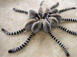 Berani Lihat Foto Ini Sekilas? Awas Mata Tertipu!