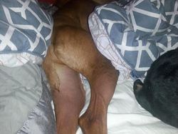 Berani Lihat Foto Ini Sekilas? Awas Mata Tertipu!