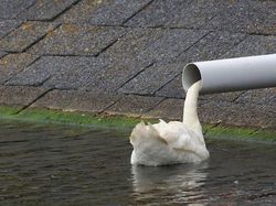 Berani Lihat Foto Ini Sekilas? Awas Mata Tertipu!