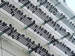 Berani Lihat Foto Ini Sekilas? Awas Mata Tertipu!