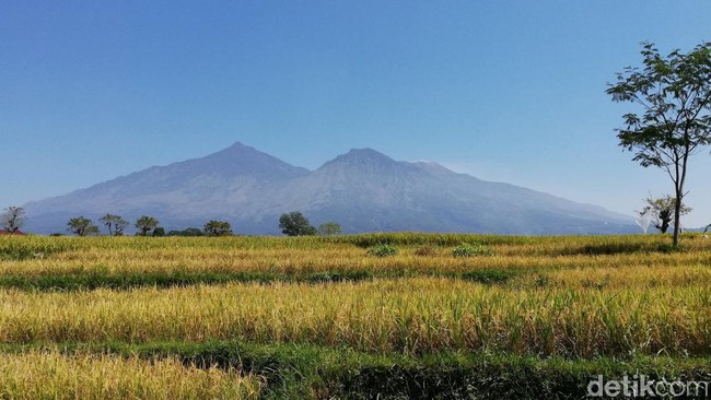 Info Pendakian 17 Agustus 2022 di Jatim: Arjuno Buka, Semeru Tutup