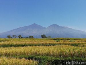 Hati-hati Kalau ke Sini, Ngomong Sembarangan Bisa Hilang!
