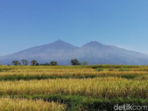 Jalur Pendakian Gunung Arjuno-Welirang Via Lawang dan Batu Resmi Tutup