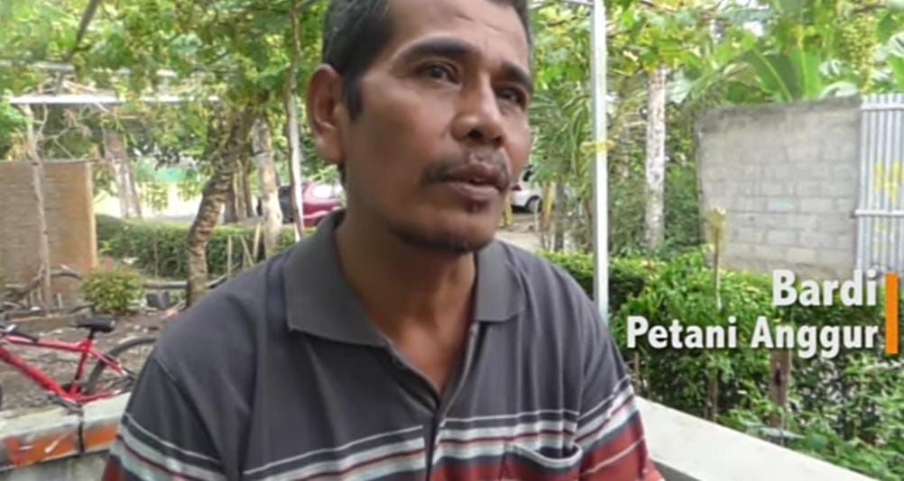 Inspiratif! Kisah Guru SD di Bantul yang Sukses Jadi Petani Anggur