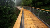 Jalanan ini menghubungkan Desa Laax Murschetg dan Laax Dorf di tenggara Swiss. Panjangnya mencapai 1,5 km (FilmLaax)