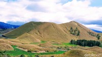 Kawasan berjuluk Highland Paradise itu bisa dijangkau dengan kendaraan roda dua maupun roda empat. Ada dua rute alternatif, yakni lewat area perkebunan Jampit dan Curah Macan. Keduanya adalah kawasan PTPN XII Kalisat Jampit. (Chuk S Widarsha)