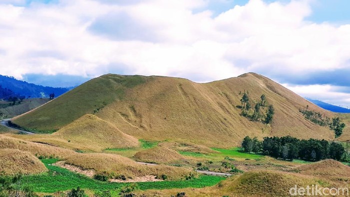 kawah wurung