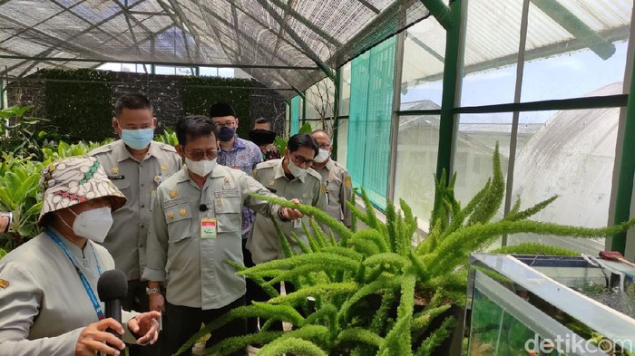Menteri Pertanian Syahrul Yasin Limpo tinjau balai penelitian tanaman hias di Desa Ciherang, Kecamatan Pacet, Kabupaten Cianjur