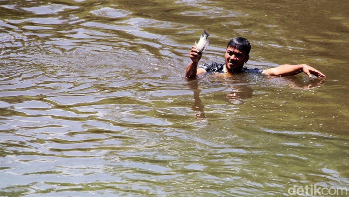 Hingga kini Sungai Bengawan Solo masih tercemar oleh limbah ciu. Kondisi limbah yang mencemari Bengawan Solo pagi ini lebih parah dari sebelumnya.