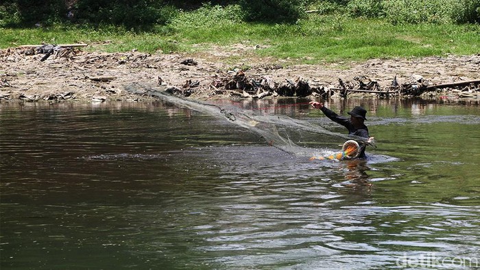 Hingga kini Sungai Bengawan Solo masih tercemar oleh limbah ciu. Kondisi limbah yang mencemari Bengawan Solo pagi ini lebih parah dari sebelumnya.