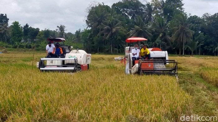 petani banyuwangi