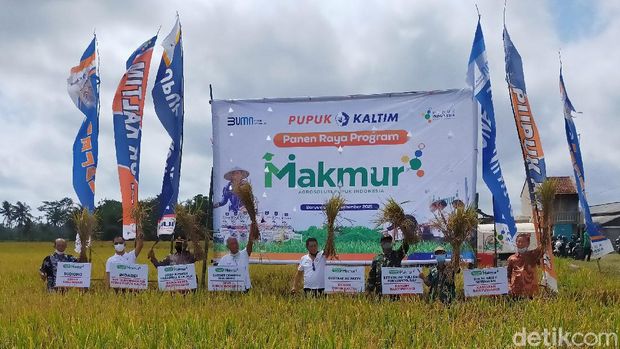 petani banyuwangi