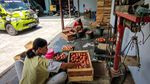 Mumet Harga Telur Anjlok Parah, Peternak Bagi-bagi Gratis
