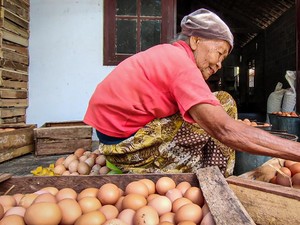 Harga Telur Anjlok Gila-gilaan Bikin RI Deflasi di September