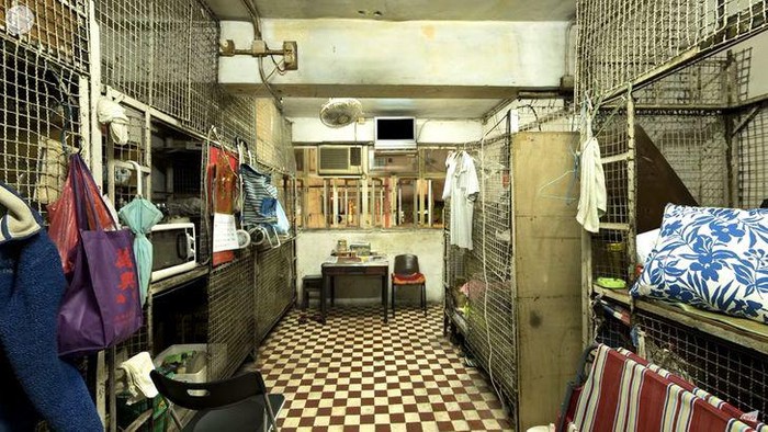 rumah kandang hong kong