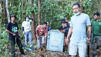 Sebelumnya, seorang warga di Kabupaten Siak, tewas diterkam harimau Sumatera. Korban diterkam saat memeriksa genset karena listrik di tempat tinggalnya padam, Minggu (29/8) (dok BBKSDA Riau)