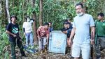 Potret Harimau Diduga Terkam Remaja Riau saat Masuk Perangkap BKSDA