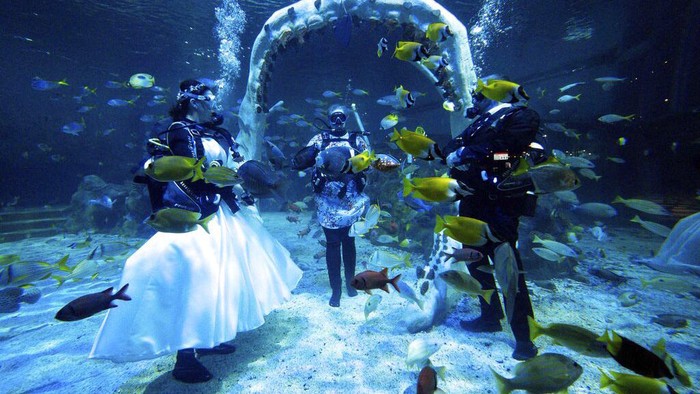 Serunya Menikah di Dalam Air Lisa Huggins and Chris Jackson exchange vowsa, during their underwater wedding ceremony, at Bear Grylls Adventure, in Birmingham, England, Wednesday, Sept. 8, 2021. The diving fans were due to marry abroad but had their plans scuppered during Covid, and had been looking for a unique alternative. (Jacob King/PA via AP)