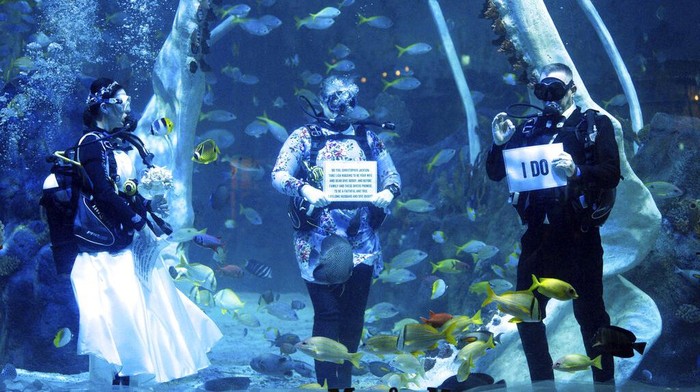 Serunya Menikah di Dalam Air Lisa Huggins and Chris Jackson exchange vowsa, during their underwater wedding ceremony, at Bear Grylls Adventure, in Birmingham, England, Wednesday, Sept. 8, 2021. The diving fans were due to marry abroad but had their plans scuppered during Covid, and had been looking for a unique alternative. (Jacob King/PA via AP)