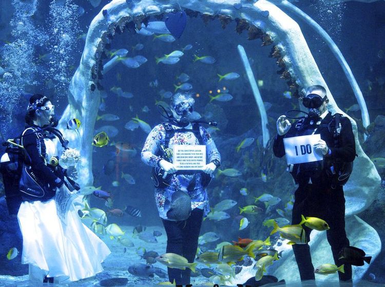 Serunya Menikah di Dalam Air