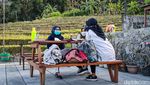 Potret Nongkrong With A View di Kulon Progo