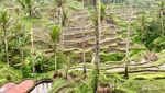 Secangkir Kopi dan Hijau Pemandangan Tegallalang, Perpaduan Pas!
