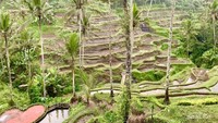 Suasana tenang di Tegallalang.