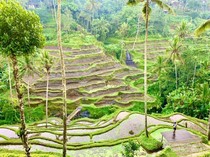 Mengejutkan! 5 Kota Ini Dianggap Biasa Saja oleh Turis Bule