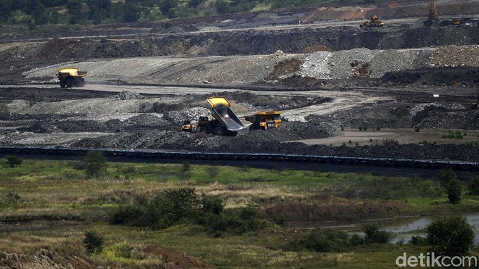 Ada di Sumsel, Tambang Batu Bara Ini Punya Cadangan 3 Miliar Ton Tak cuma di Kalimantan, Sumatera Selatan juga punya tambang batu bara. Tak tanggung-tanggung, tambang batu bara di Sumsel ini punya cadangan hingga 3 miliar ton