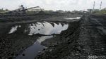 Ada di Sumsel, Tambang Batu Bara Ini Punya Cadangan 3 Miliar Ton