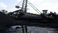 Direktur Operasi dan Produksi PTBA Suhedi menjelaskan rencana produksi batu bara PTBA di tahun 2021 mencapai 29,5 juta ton dan target penjualan 30,7 juta ton. Angka tersebut naik dibanding tahun sebelumnya yang mana terimbas pandemi, yaitu produksi 24,8 juta ton dan penjualan 26,1 juta ton.