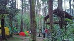 Rekomendasi Kemping Ceria di Hutan Pinus Bogor, Cobalah ke Curug Batu Gede Puncak