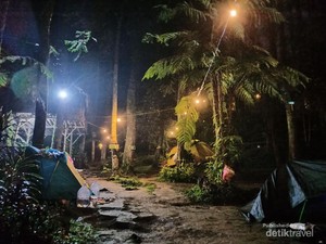 Rekomendasi Kemping Ceria di Hutan Pinus Bogor, Cobalah ke Curug Batu Gede Puncak