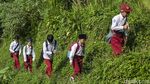Fenomena Kampung Janda, Seperti Apa Realitanya?
