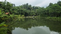 Stigma negatif akan kampung ini diperkuat dengan berita disertai foto yang kurang pantas bertebaran di dunia maya, jika tidak segera diperbaiki maka cerita akan kampung ini akan terus melegenda hingga turun temurun. Kampung Panyarang yang berada di lereng gunung salak ini juga memiliki sumber daya alam yang melimpah. Sayang, di balik itu permasalahan pun kian bermunculan ke permukaan salah satunya yakni pertambangan ilegal.