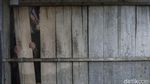 Fenomena Kampung Janda, Seperti Apa Realitanya?