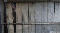 Dengan demikian, warga tak ingin ada lagi istilah Kampung Janda di Kampung Panyarang ataupun Desa Ciburayut, Bogor ini.